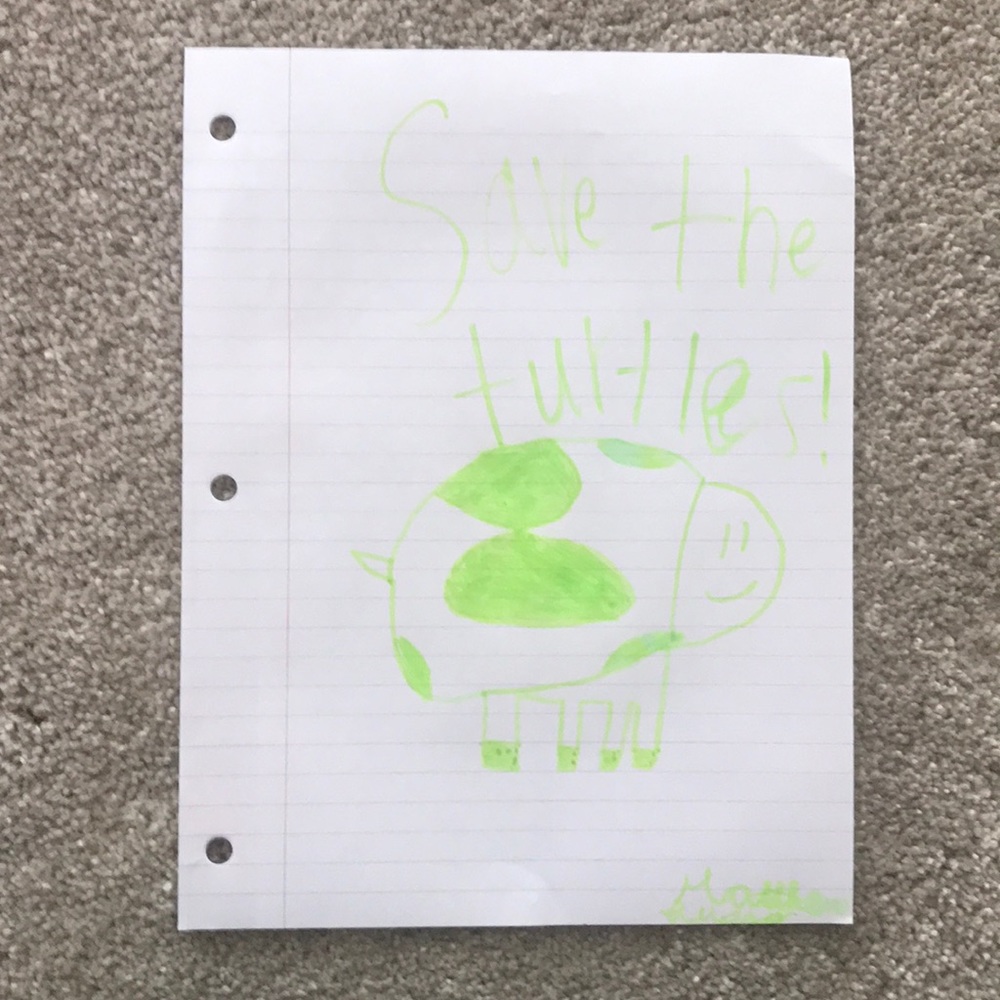 A picture of a turtle